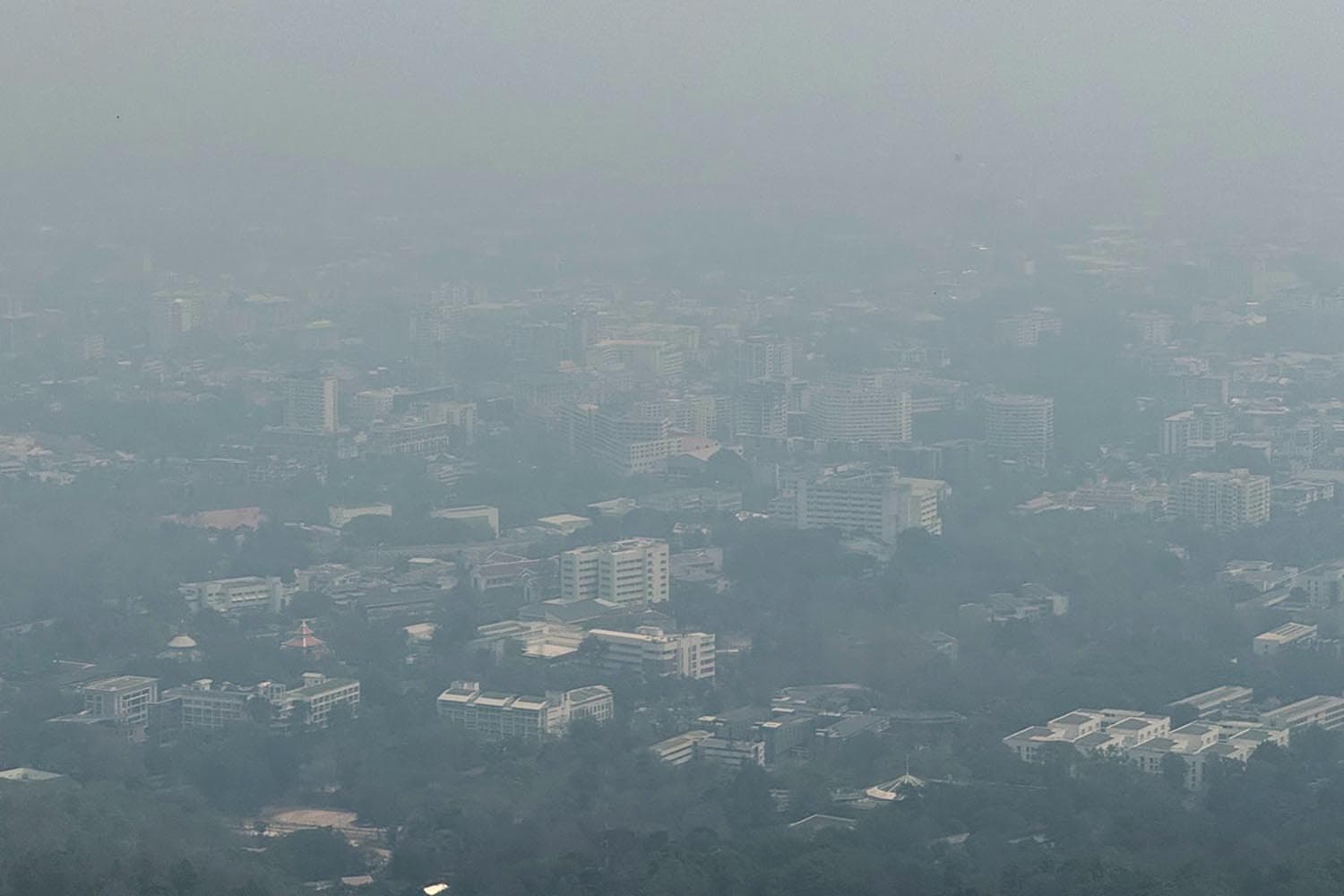 เชียงใหม่จมฝุ่นพิษ 'PM 2.5 - หมอกควัน' ปกคลุมทั้งเมือง ระดมทุกภาคส่วนเร่งควบคุมสถานการณ์