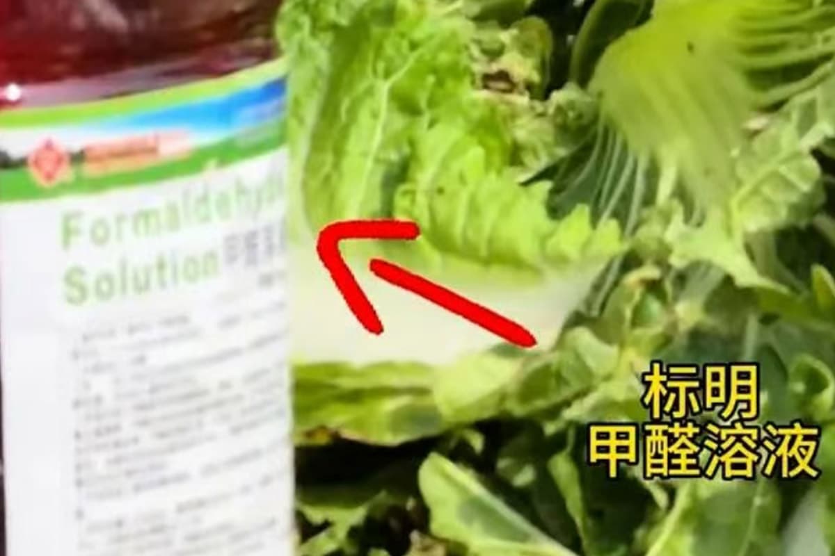china-probes-nationwide-wholesaler-using-formaldehyde-cabbages-SPACEBAR-Photo01.jpg