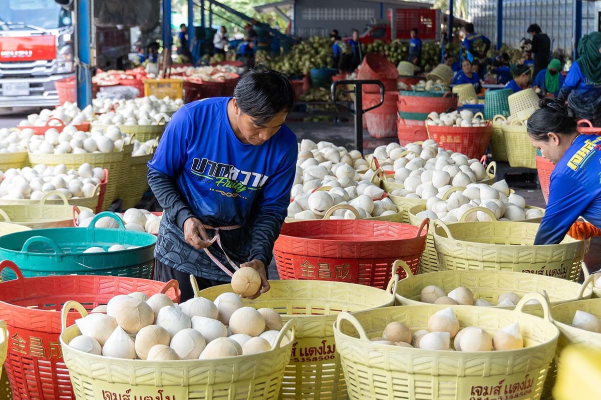 cpall-7eleven-thai-coconut-market-SPACEBAR-Photo02.jpg