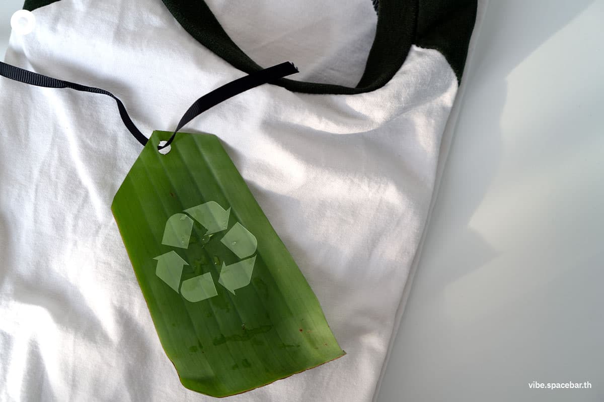 ecoeyes_7_shades_greenwashing_SPACEBAR_Photo03_0e20ae3aa4.jpg