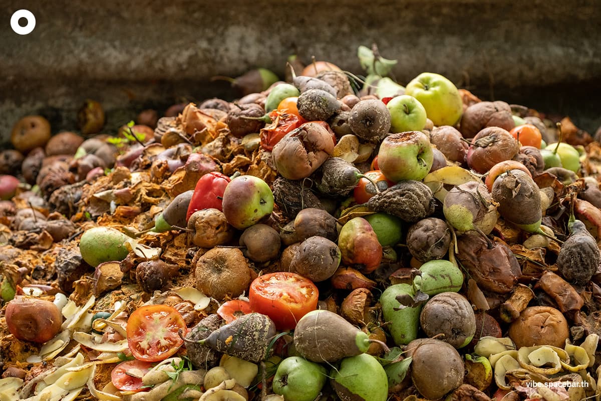 ecoeyes_how_to_heal_the_planet_sustainable_food_3_SPACEBAR_Photo02_8b45d106ba.jpg