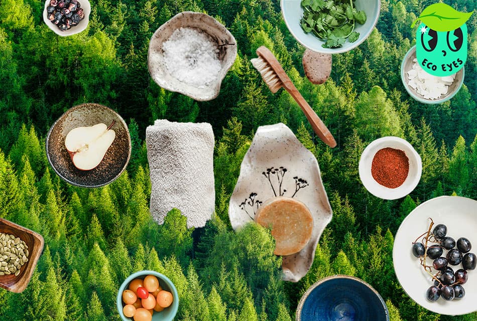 ecoeyes_sustainable_luxury_SPACEBAR_Thumbnail_d5594b8bde.jpg