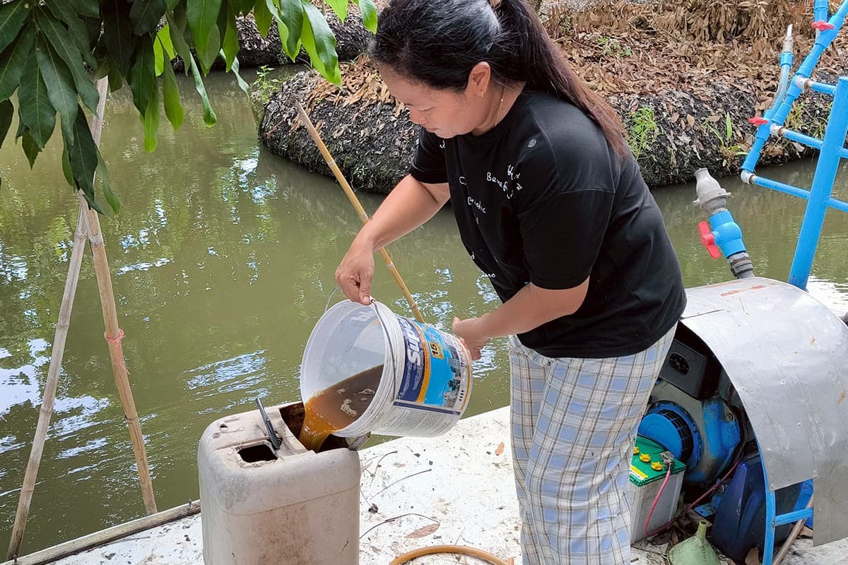 economic-business-thai-bio-fermented-black-chinned-tilapia-SPACEBAR-Photo02.jpg