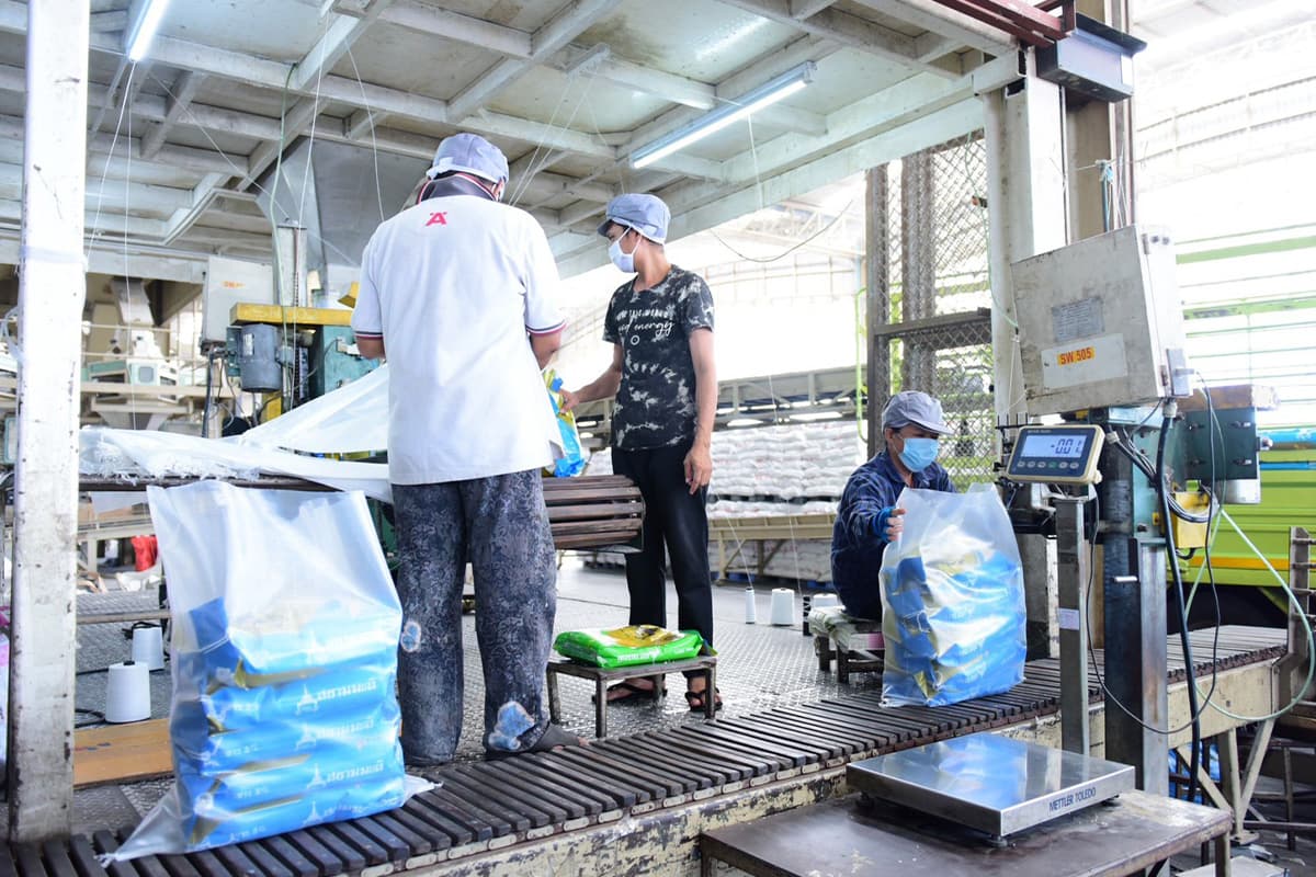 economic-business-thai-rice-gtog-caina-SPACEBAR-Photo02.jpg
