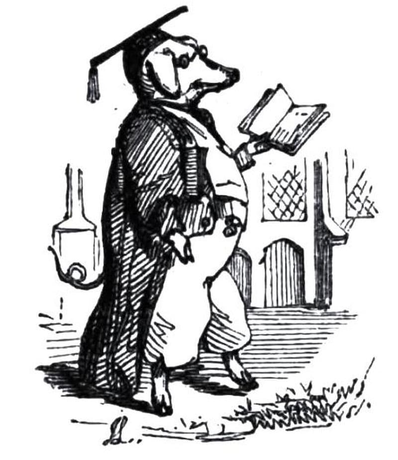 get_to_know_pig_latin_language_SPACEBAR_Photo_V01_40b311d80c.jpeg