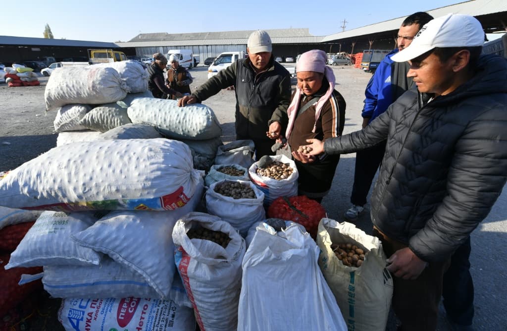 Local imams have even called on followers to help preserve the walnut trees