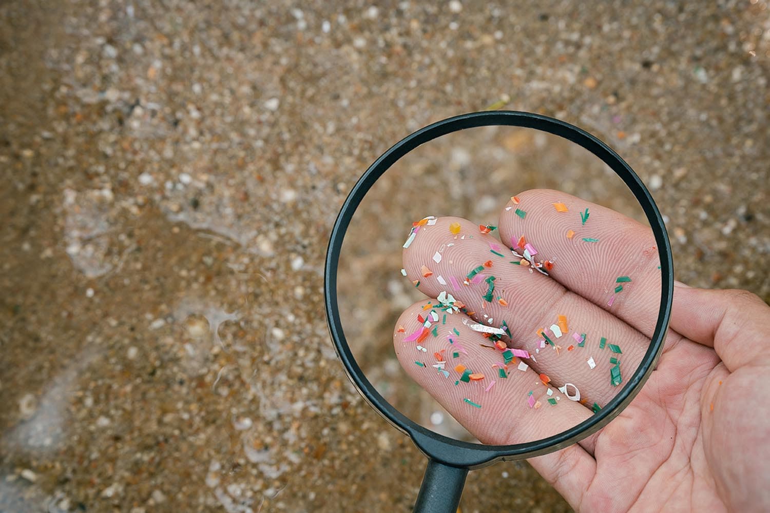 microplastics_discovered_in_human_hearts_first_time_SPACEBAR_Hero_c95f093041.jpeg