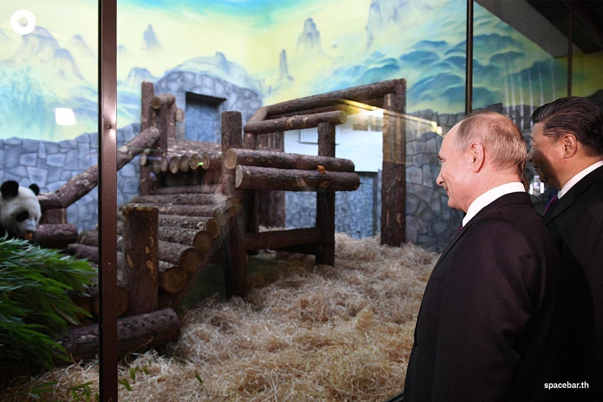 panda_diplomacy_china_expenses_SPACEBAR_Photo01_3eb14180ee.jpg