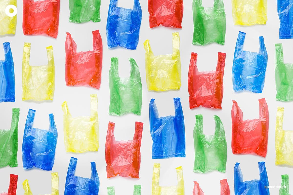 Green New Year’s Resolutions 2026: ลดพลาสติกใช้ครั้งเดียว (Single-use plastic)
