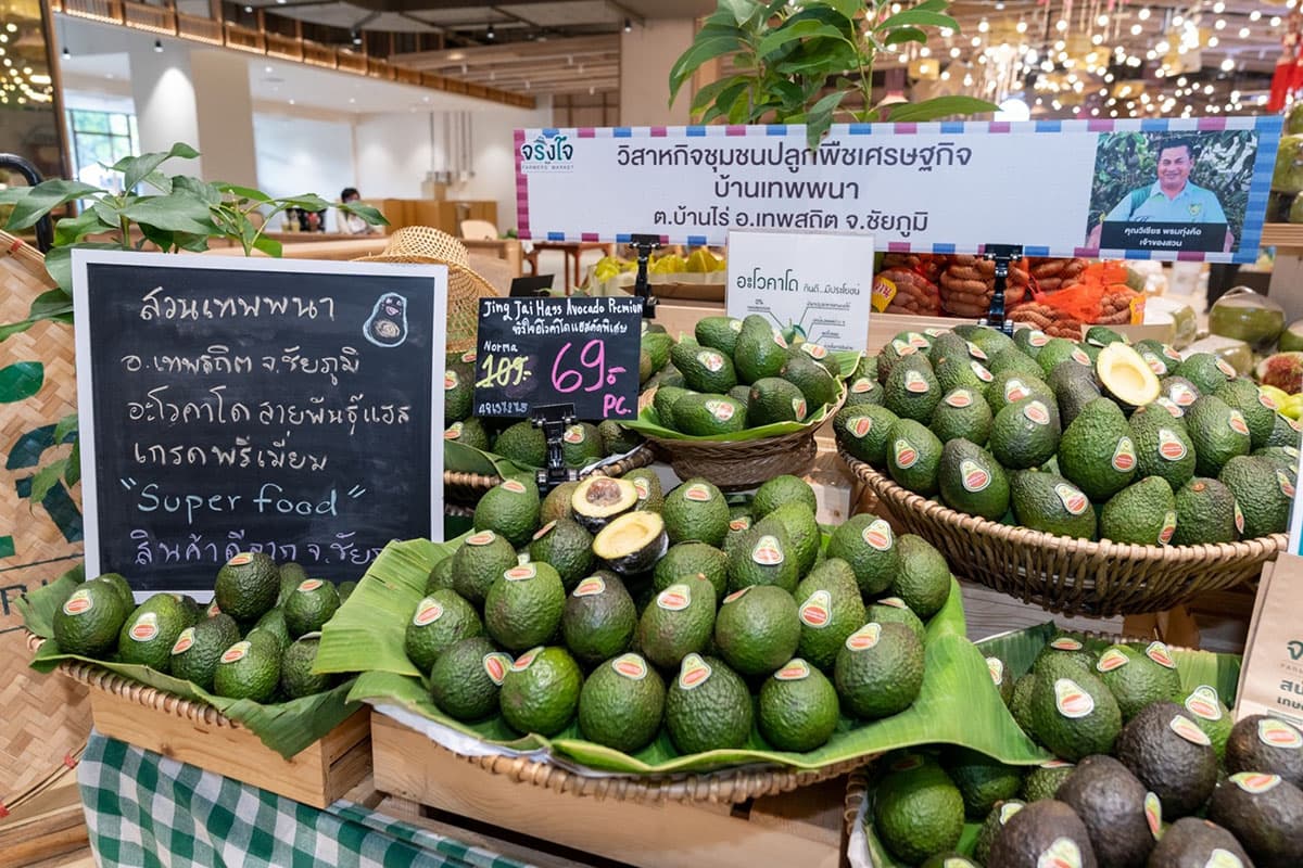 sustainability-central-group-grassroots-economy-SPACEBAR-Photo02.jpg
