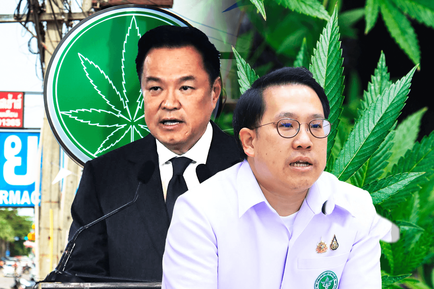 ‘กัญชาไทย’ จะไปทางไหน? จากสีเขียวที่ข้ามแดนไม่ได้ ถึงปัญหาหลังยุค ‘ปลดล็อก’