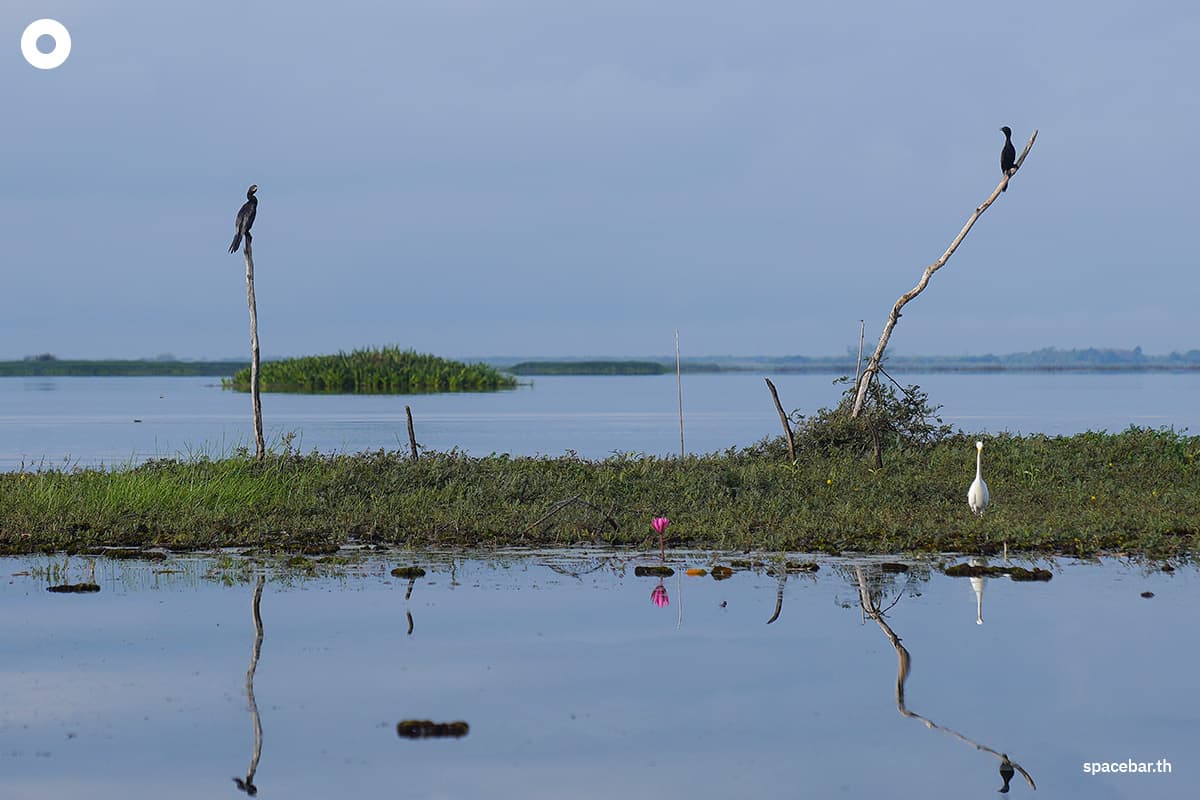 thale_noi_phatthalung_travel_secondary_cities_SPACEBAR_Photo07_a0b460b9ca.jpg