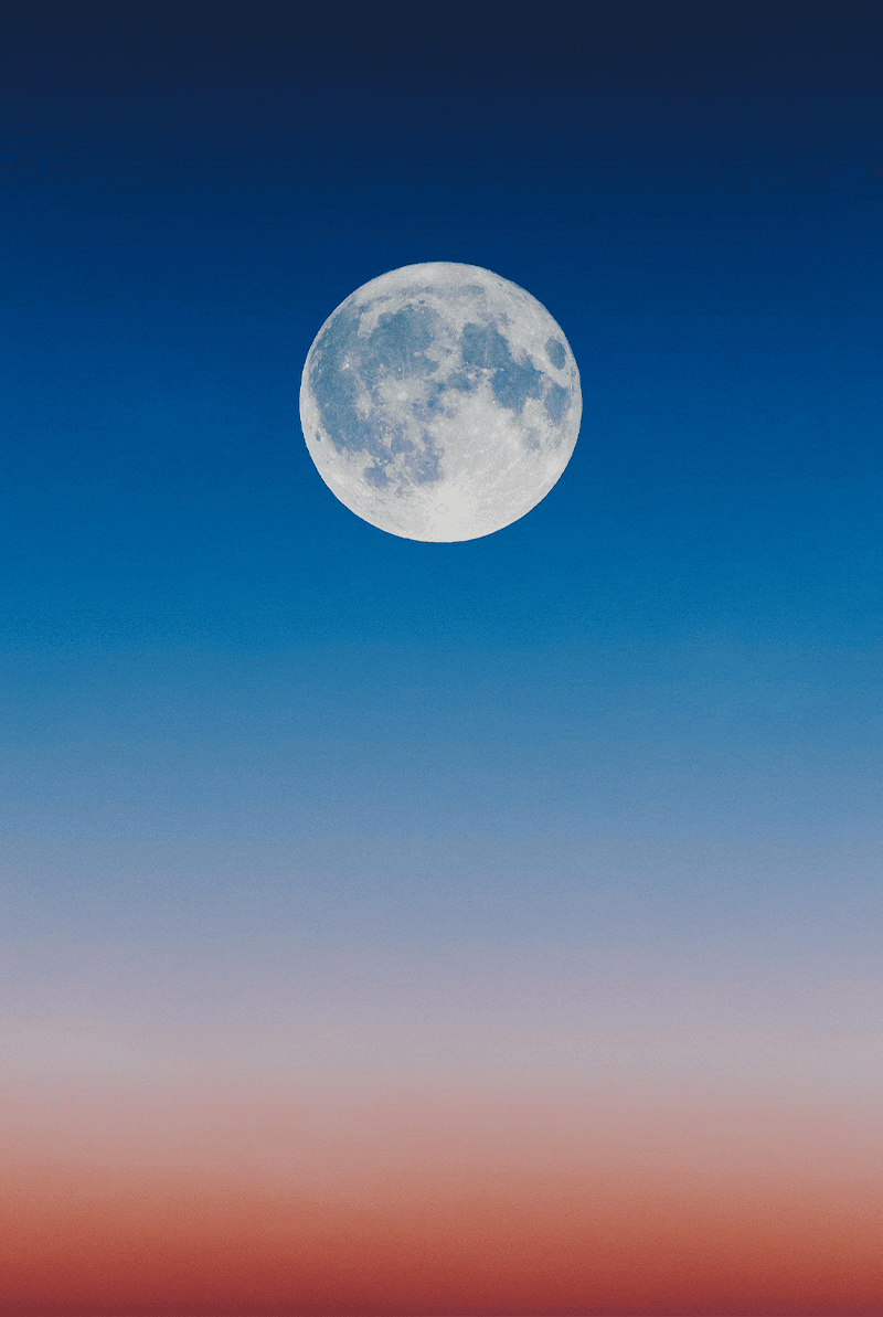 vibe_how_to_moon_festival_eco_friendly_SPACEBAR_Photo_V03_163f035701.png