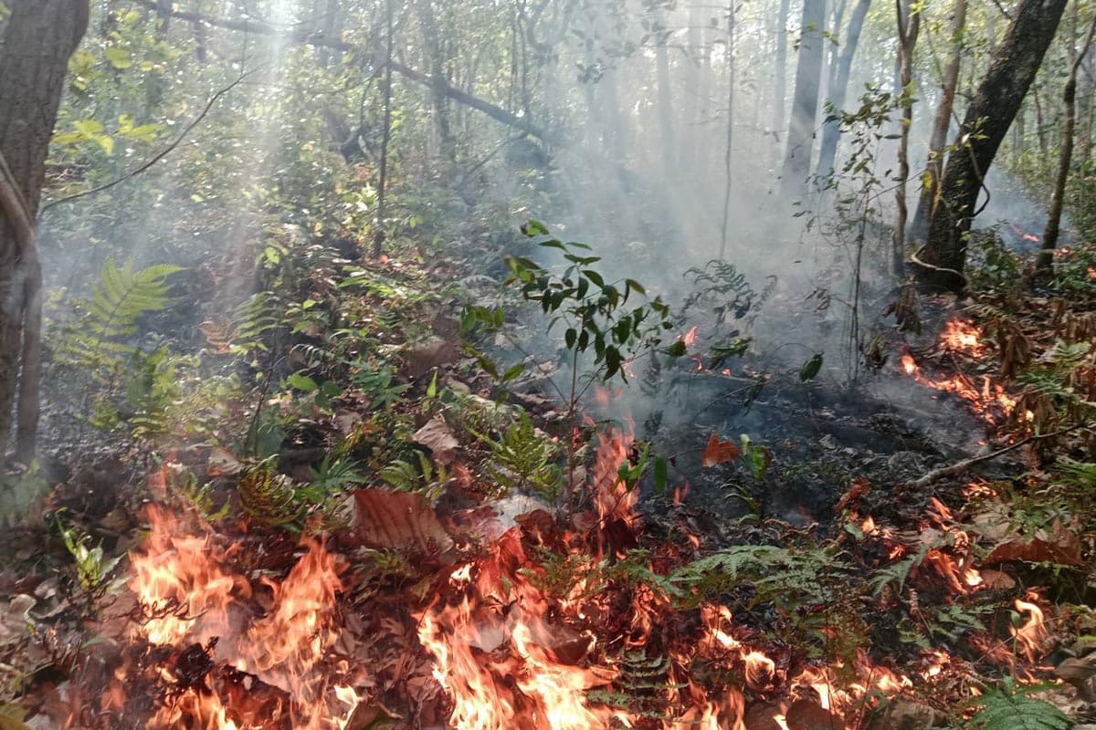 Chiang Mai-is-accelerating-measures-to-sustainably-address-air-pollution-and-wildfires-SPACEBAR-Photo09.jpg