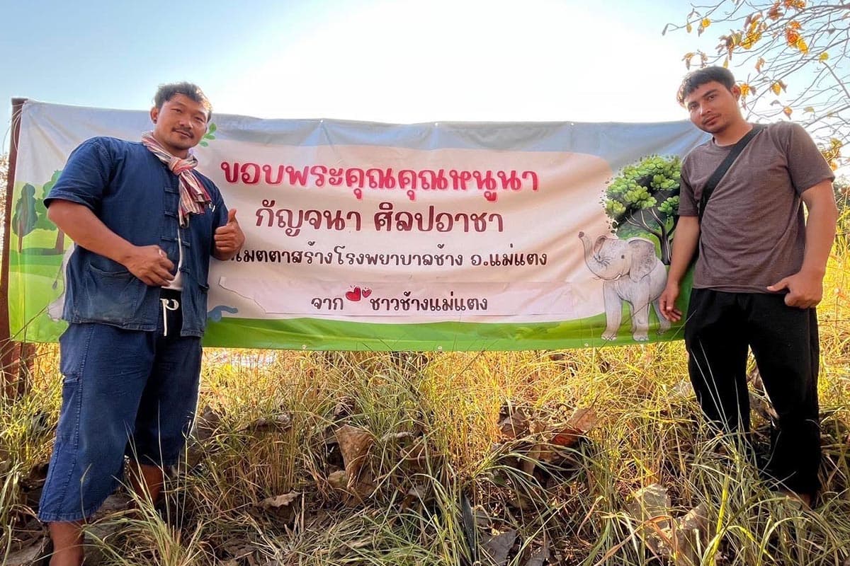 Chiang_Mai_prepares_to_build_an_elephant_hospital_to_care_for_sick_elephants_SPACEBAR_Photo02_c26ccfbbb2.jpg