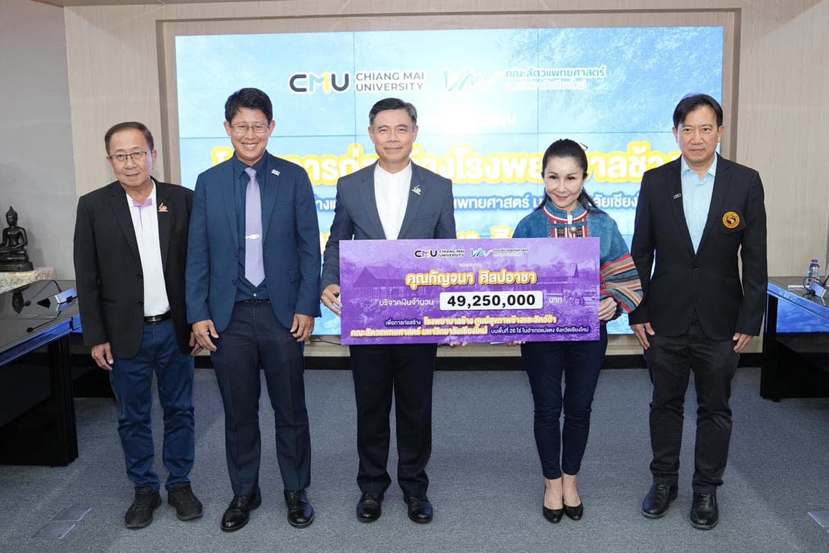 Chiang_Mai_prepares_to_build_an_elephant_hospital_to_care_for_sick_elephants_SPACEBAR_Photo04_b9bd5bbd96.jpg
