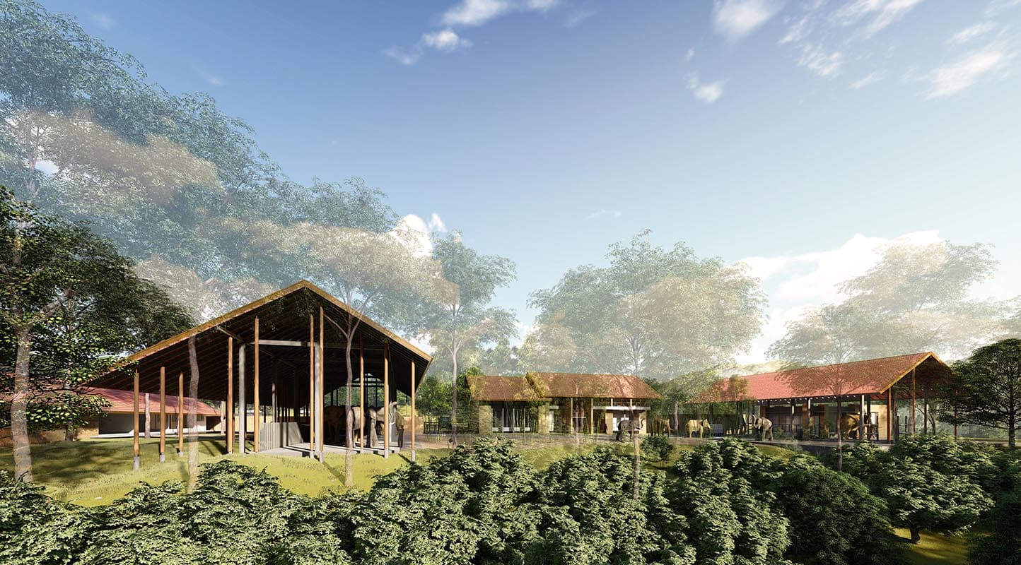 Chiang_Mai_prepares_to_build_an_elephant_hospital_to_care_for_sick_elephants_SPACEBAR_Photo10_14a8b5785b.jpg