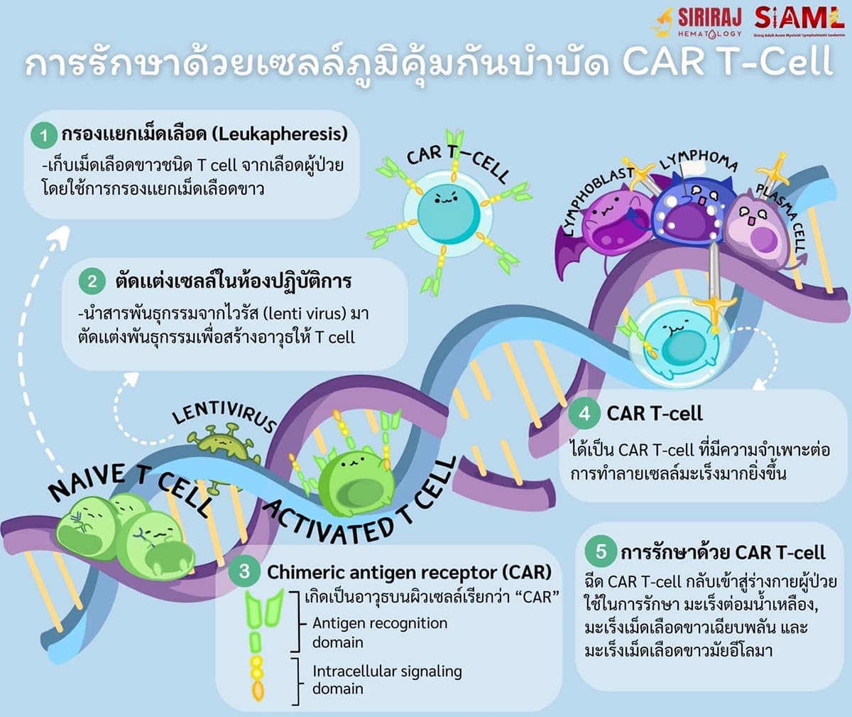 Siriraj-Hospital-successfully-develops-CAR T-Cells-to-treat-leukemia-SPACEBAR-Photo01.jpg