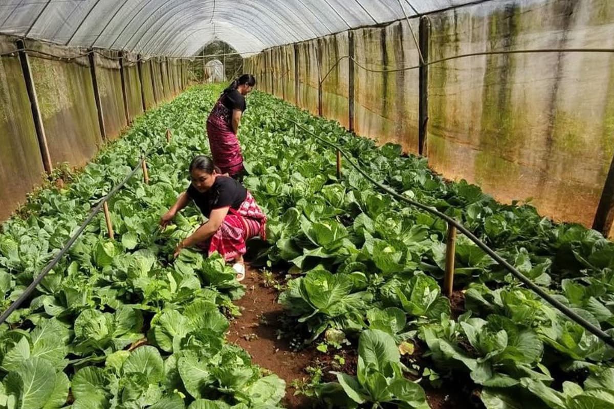 The-first-model-farm-in-Thailand-under-the-royal-patronage-of-Her-Majesty-the-Queen-Mother-SPACEBAR-Photo04.jpg
