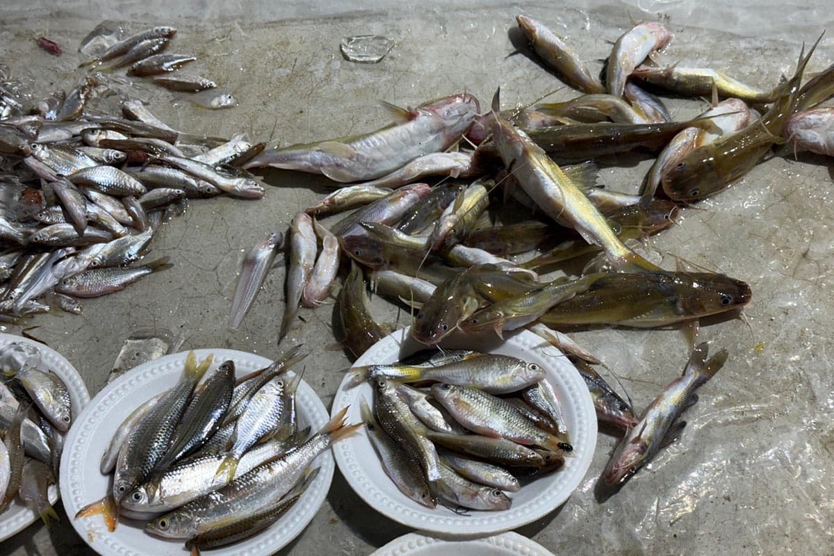 Transboundary-toxicity-crisis-the-problem-of-river-contamination-in-Chiang Mai-SPACEBAR-Photo04.jpg