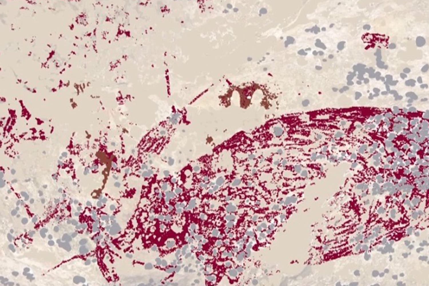 Worlds_oldest_cave_painting_in_indonesia_shows_pig_and_people_SPACEBAR_Hero_82db2cc4f9.jpg