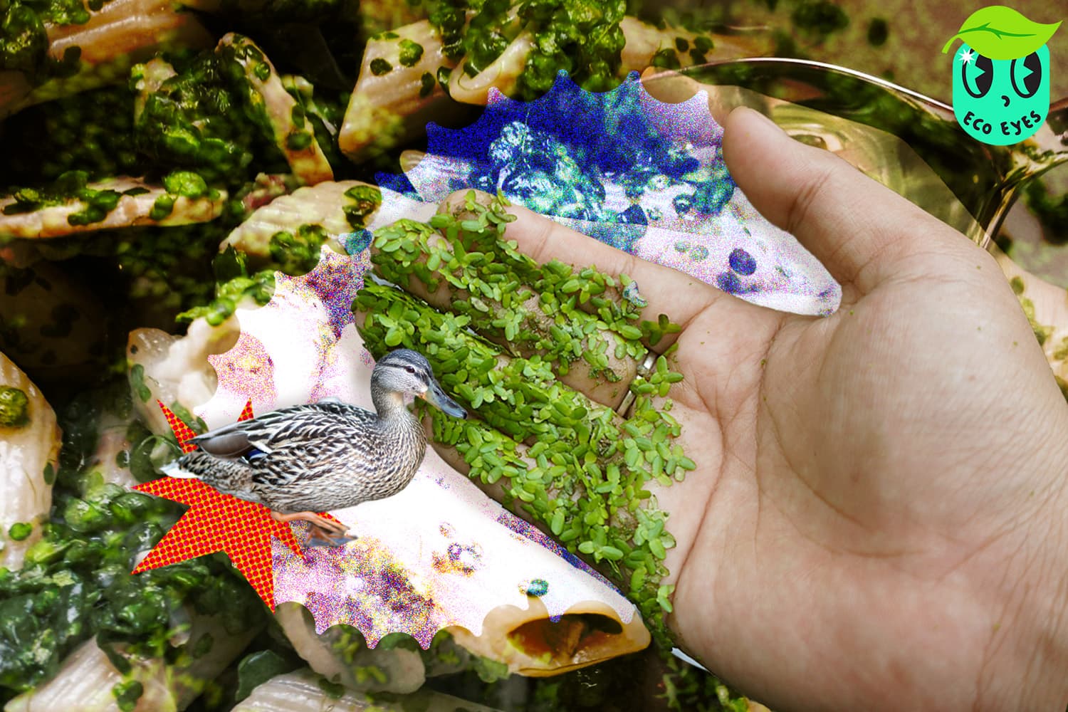 ccoeyes_duckweed_superfoods_of_2025_food_trends_to_end_climate_change_SPACEBAR_Hero_3e5f4e4e5d.jpg