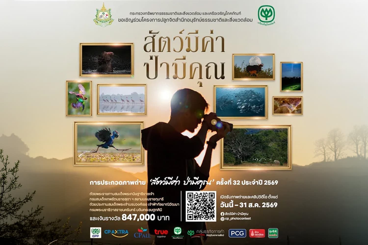 สานต่อปีที่ 32! 'ซีพี-กระทรวงทรัพยากรฯ' ชวนประกวดภาพถ่าย 'สัตว์มีค่า ป่ามีคุณ' ชิงถ้วยพระราชทานฯ-เงิน 8.5 แสนบาท