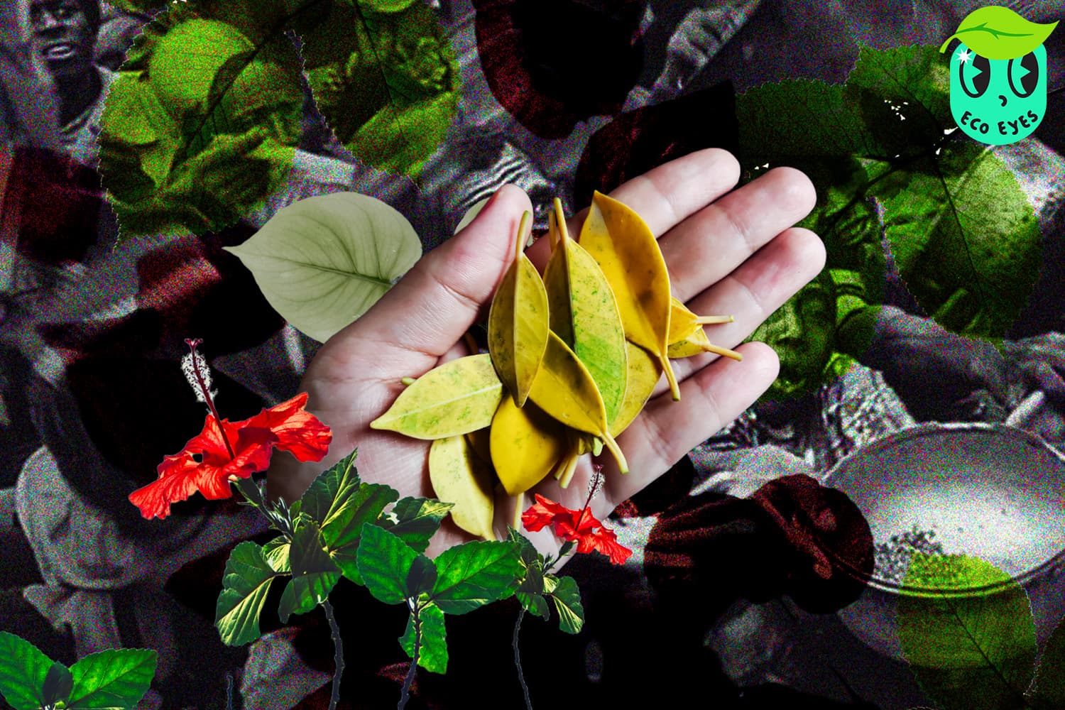 ecoeyes_microplastics_interfere_with_plant_photosynthesis_SPACEBAR_Hero_c4071f9d89.jpg