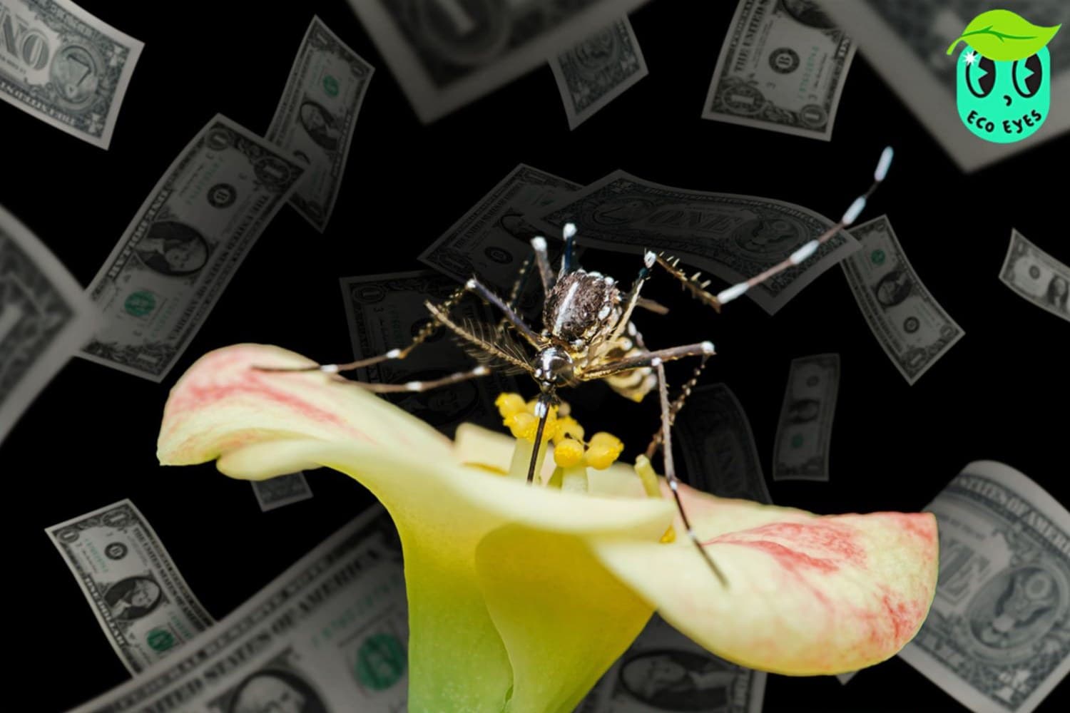 ecoeyes_philippines_came_up_with_an_idea_mosquitoes_for_money_to_save_the_world_SPACEBAR_Hero_2_e45e8e28cc.jpg