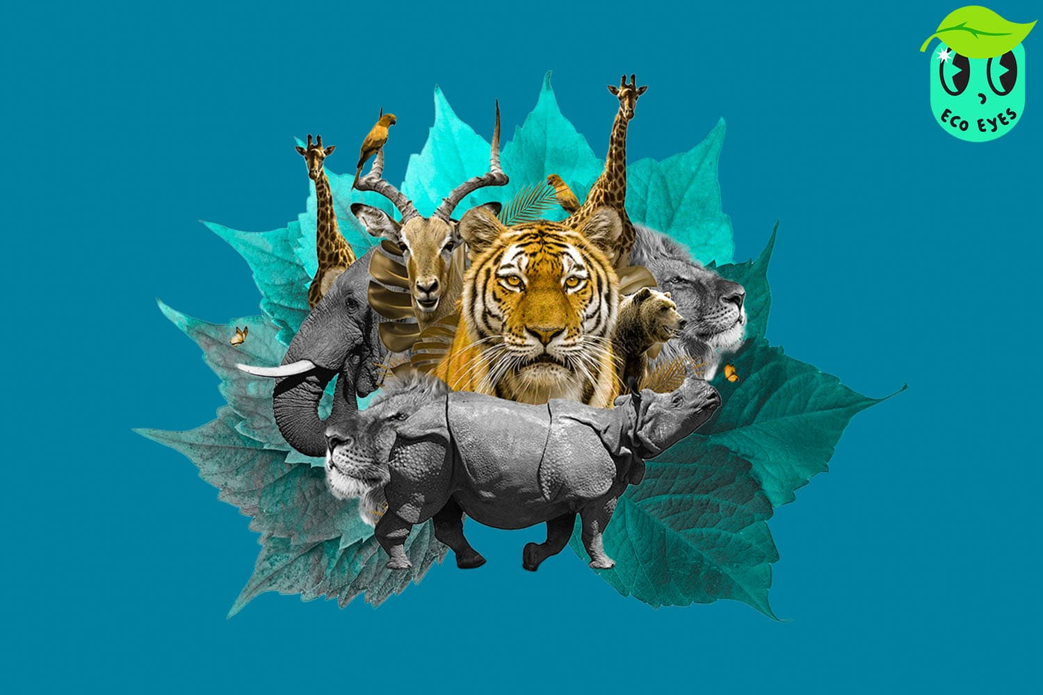 ecoeyes_world_wildlife_day_from_conservation_to_investing_to_save_the_world_SPACEBAR_Hero_7c9773b59b.jpg