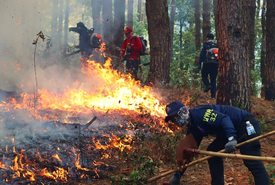 government-intensifies-forest-fire-control-and-protects-officials-SPACEBAR-Thumbnail.jpg