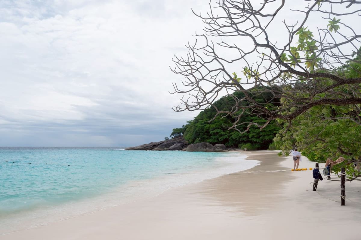 green-space-similan-island-closure-nature-restoration-explained-SPACEBAR-Photo02.jpg
