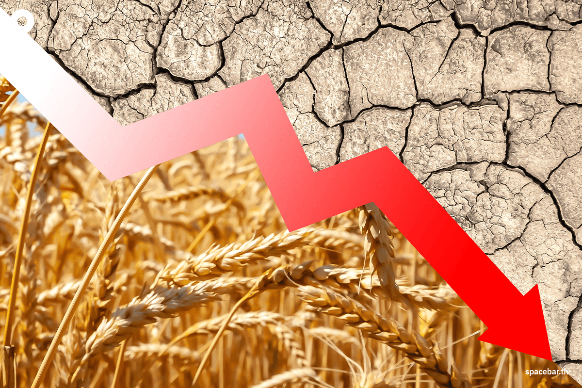 green-space-super-el-nino-climate-inflation-food-cost-thailand-2571-SPACEBAR-Photo02.png