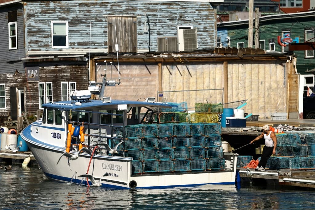Maine's lobster operations -- trap hauling, boat transport, food processing and restaurant sales -- comprise a billion-dollar industry that has come under threat from high fuel prices, shifting tariffs and climate change
Lobstermen arrive in the harbor after a morning at sea in Portland, Maine on October 12, 2026.