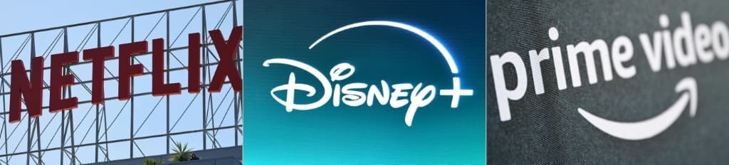 Netflix-Disney+-Amazon ยื่นอุทธรณ์สู้กฎระเบียบฝรั่งเศส บังคับลงทุนแอนิเมชันและสารคดี 20%