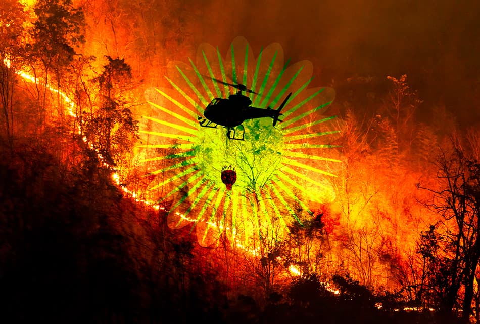 pm25-wildfire-thailand-forest-closure-urgent-measures-SPACEBAR-Thumbnail.jpg