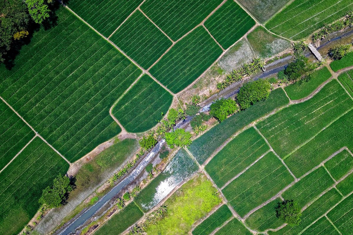 sustainability-eudr-not-barrier-thailand-adapts-opportunity-eu-market-open-SPACEBAR-Photo02.jpg
