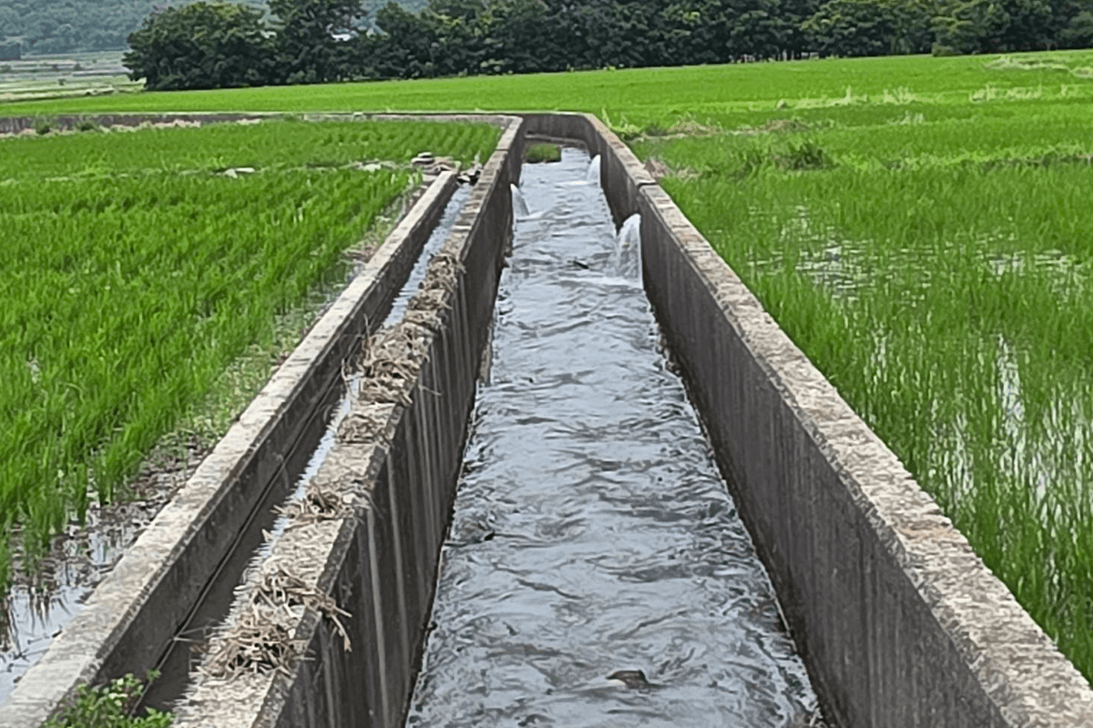 taiwan-farm-thailand-SPACEBAR-Photo01.png