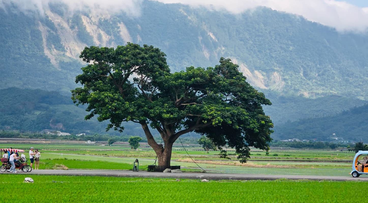 taiwan-rice-tourism-SPACEBAR-Photo03.jpg