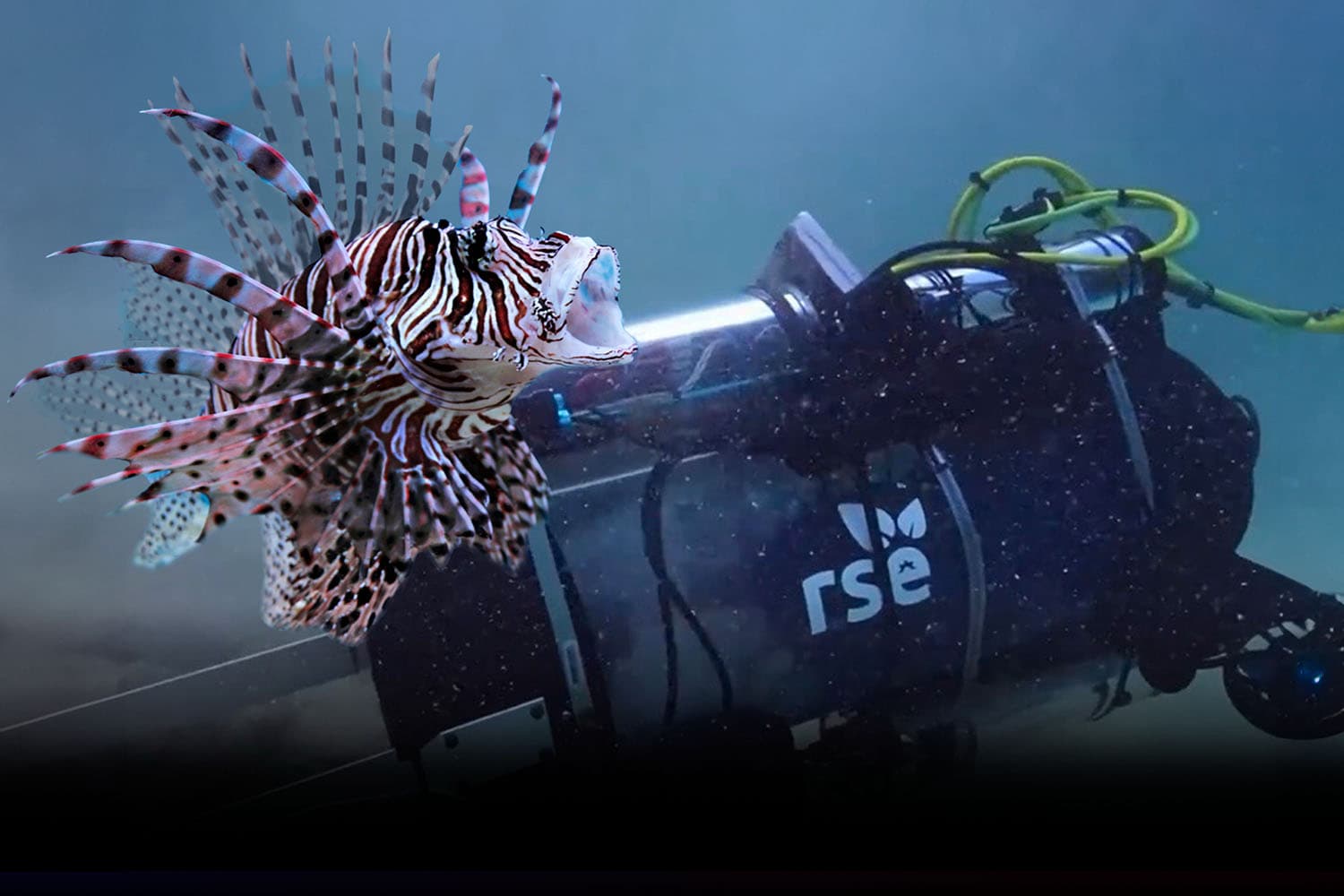 this_fish_zapping_robot_hunting_invasive_lionfish_in_coral_reefs_SPACEBAR_Hero_8fd524829f.jpg