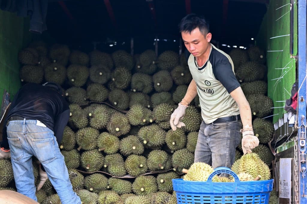 Vietnam's area dedicated to durian has soared more than fivefold over the past decade