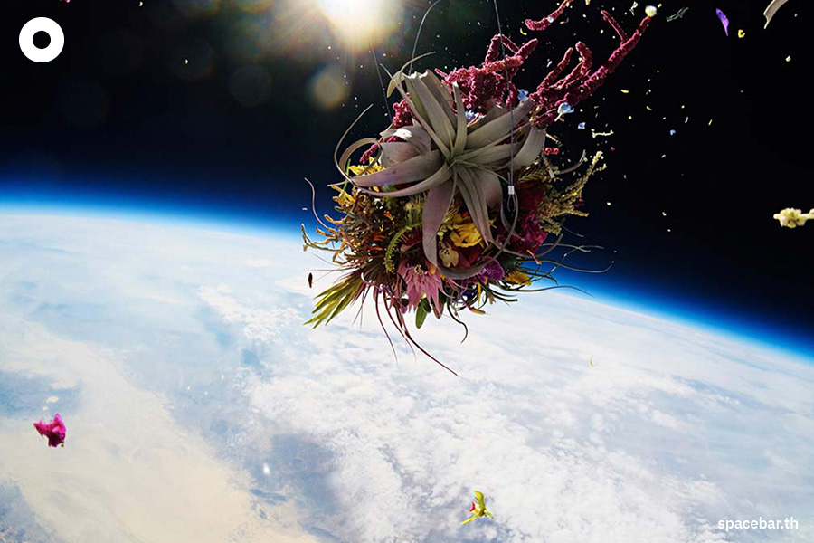 exobiotanica_project_azuma_makoto_SPACEBAR_Photo01_f4b1358ead.jpeg