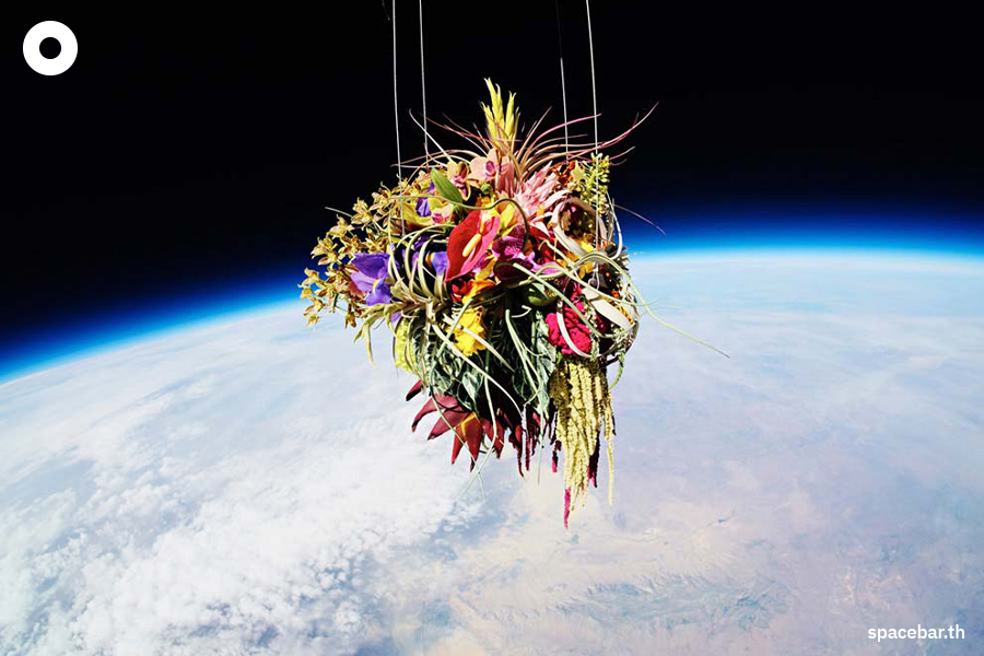 exobiotanica_project_azuma_makoto_SPACEBAR_Photo08_7860594f5a.jpeg