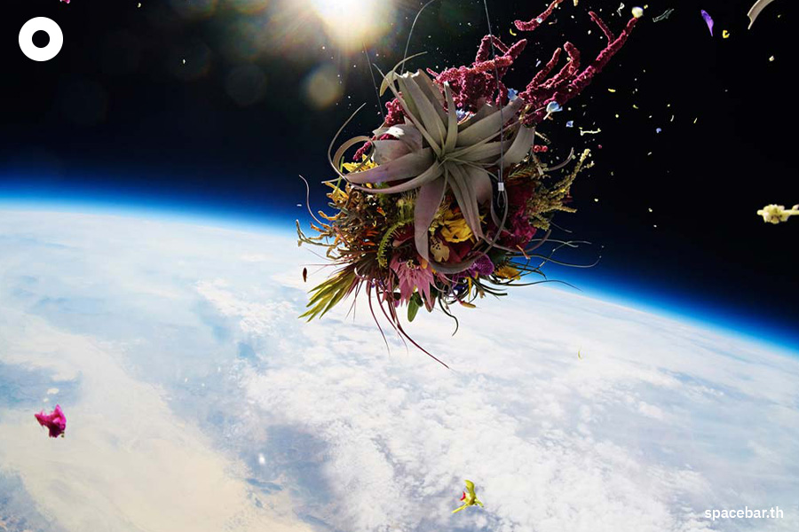 exobiotanica_project_azuma_makoto_SPACEBAR_Photo09_f431a82df0.jpeg